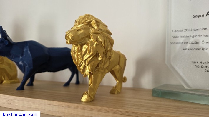Aslan 3D Baskı