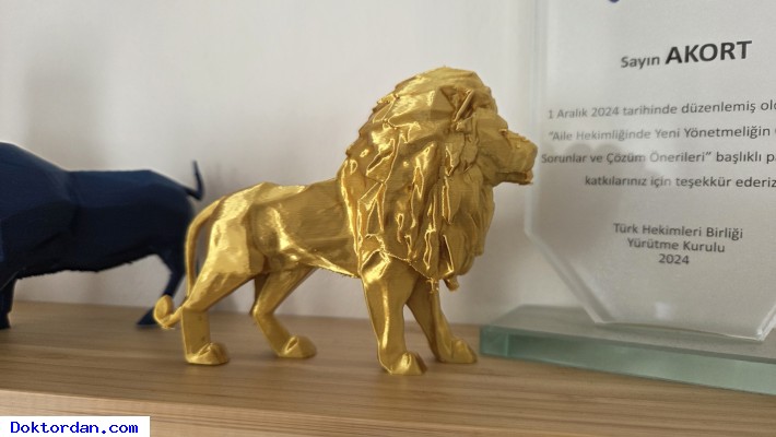 Aslan 3D Baskı